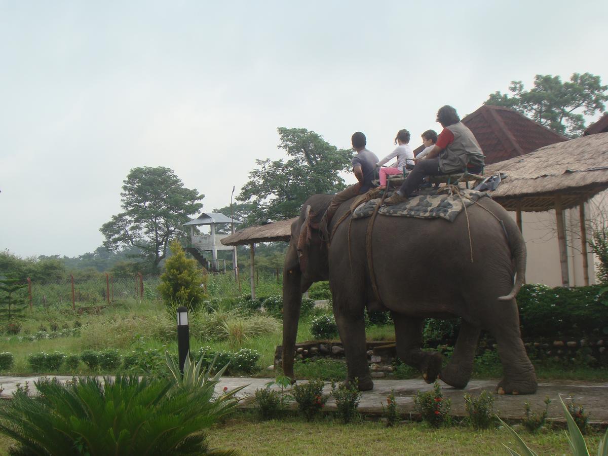Musa Jungle Retreat Kumguri Exteriör bild